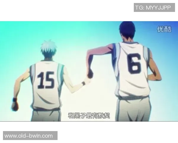 篮球off的背后故事与运动精神的传承探讨